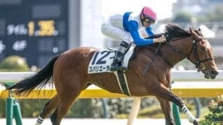 【東京5R新馬戦結果】ロードカナロア産駒スパリエーラが2番手から抜け出しV