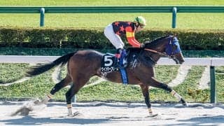 【プラタナス賞結果】ウィンターブリーズが5馬身差V ダート替わりで2連勝