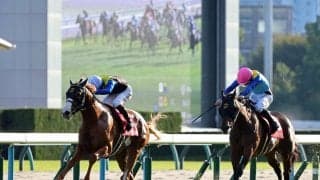 【スワンＳ】約５分...推定３センチの激戦制した！ダイヤモンドノットが重賞３勝目 　「ドキドキでした...」と横山武史騎手