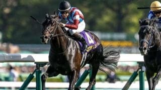 【菊花賞】ロブチェン、ダノンヒストリーなどが登録