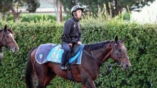 【南部杯】ルクソールカフェは伸びず６着　岩田望来騎手「原因が分かりづらい。あんなに負けるような馬ではない」