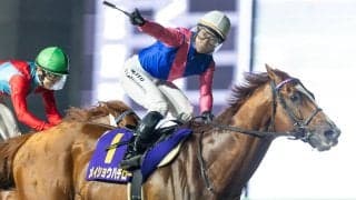 【南部杯】メイショウハチローがＪｐｎ１初勝利　福永調教師は京都で！東京で！盛岡でメイン制覇　吉原寛人騎手「すごい勢いの厩舎」