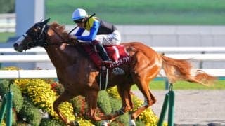 【スワンS】ダイヤモンドノットがハナ差の大激戦制す！大外強襲スズハロームを凌いで重賞3勝目