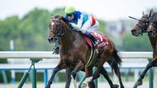 【富士S登録馬】アドマイヤズームなど14頭