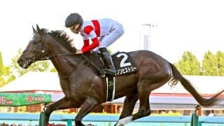 「よっしゃ！！！！！」「祭りです」圧勝続きの３・９億円馬が賞金順で出走可能に　菊花賞登録のダノンヒストリー