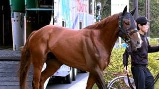 【注目馬動向】福永厩舎に初のＧ１級勝利運んだメイショウハチローはＪＢＣスプリントに転戦へ