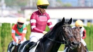 【注目馬動向】１・７億円馬キューティボンドはデイリー杯２歳Ｓを視野　兄ダノンベルーガ、姉ボンドガールの良血馬　僚馬ドラゴンバルドは京都２歳Ｓを視野