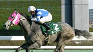 ディープサマーが２４歳で死す…０５年のクリスタルＣ勝ち馬　タイキシャトル産駒