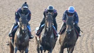 【富士Ｓ】アンパドゥ、重賞初制覇の勢い感じさせる最終追い　陣営「もっと上に行けるように」