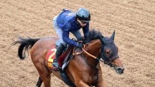 【秋華賞・追い切り】５か月半ぶり実戦のカナルサンマルタンは坂路で軽快　宮田敬介調教師「一発やるつもり」