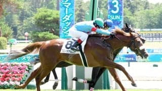 【注目馬動向】名牝アーモンドアイの２番子、プロメサアルムンドが美浦に帰厩　２度の手術を乗り越えて復帰へ