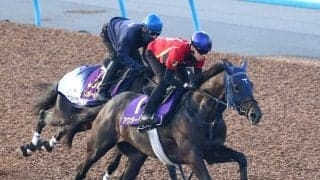 【菊花賞・１週前】アウダーシアが上昇気配　マスカレードボールに食らいつく　津村明秀騎手「持久力を生かせていい」