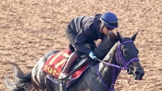 【秋華賞】昨年タレントと結婚今年６０勝荻野極騎手、連勝中ラベルセーヌでＧ１獲り