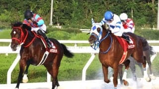 【阪神アーバン競馬】波乱！　単勝１・２倍のゴッドフェンサーが兵庫３冠を逃す　吉村智騎手「休み明けのせいか…」園田オータムＴ
