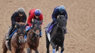【注目馬動向】クロワデュノール全弟チャリングクロス　石川裕紀人騎手との新コンビで菊花賞へ
