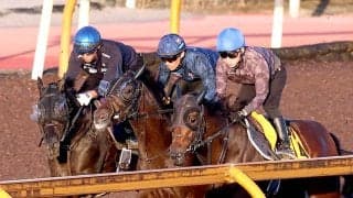 【菊花賞・１週前】バステールがクロワデュノール、タガノエルピーダと豪華併せ馬　斉藤崇調教師「今日に関しては…」