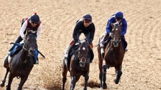 【菊花賞・１週前】武豊騎手とコンビのゴーイントゥスカイは３頭併せで抜群の伸び　上原佑調教師「豊さんの言葉を信じて」
