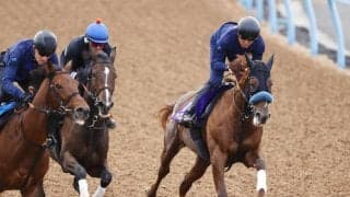 【菊花賞・１週前】セントライト記念を制したジャスティンシカゴは楽々と強豪に併入　宮田調教師「素晴らしい馬体になった」