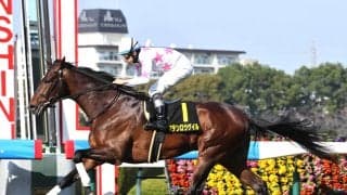 日本ダービー５着のマテンロウゲイルが電撃引退...今年の若葉Ｓ勝ち馬にアクシデント