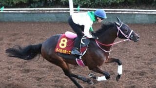 【秋華賞】前走とは違う！タイセイボーグは予定通りの坂路５６秒６　松下調教師「一回使って、良くなっている」