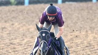 【アイビーＳ】リオンディーズ産駒の有望株コラリオン　出世レースＶへ仕上がり良好　伊坂調教師「いい動きで順調」