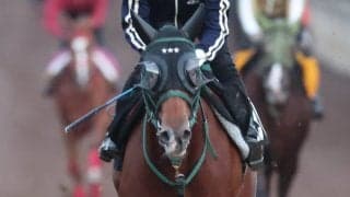 【ＰＯＧ】珍名馬バシャウマが京都でデビュー　橋口調教師「初戦からやれていい」馬車馬のようにひたすら前を目指す！？