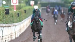 【秋華賞】「スターホースになっていけるような資質を持った馬」モンローウォーク最後の１冠へ坂路楽々５３秒２
