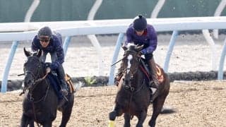 【秋華賞】紫苑Ｓ３着馬が１週前から一変　田中博師「重馬場にならないでしょうし、平坦になるのでこなしてくれるのでは」