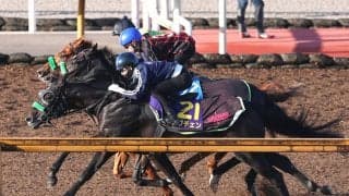 【菊花賞・１週前】「心臓の強い馬で簡単にはバテない。前走は３０００メートルも全然大丈夫かなと思える走り」松山弘平騎手がロブチェン３冠に期待