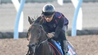 【富士Ｓ】マイル界の新星へアンパドゥは６枠１０番　アドマイヤズームは４枠５番から完全復活期す