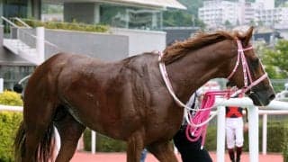 【１７日の注目・京都１０Ｒ】名より実を取った！？　本格化したオークス馬の弟が狙う３連勝　前走の２着馬は先週の競馬で驚きの…