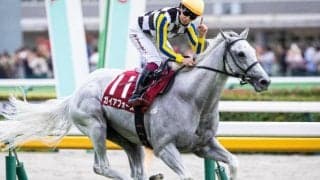 富士Sは前走GI組が複勝率39％ 外枠にも好走傾向