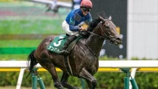 【今日の注目ポイント】富士Sでアンパドゥが重賞連勝を狙う