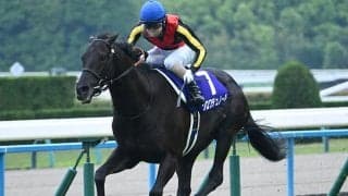 【天皇賞(秋)想定馬・騎手】クロワデュノール、リアライズシリウスなど17頭