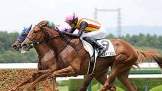 【競馬予想】秋華賞でチェックすべき血統は？　強力ニックスを持つ本命馬を中心に、ノームコアの娘にも期待