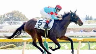 【東京４Ｒ・２歳新馬】１番人気ジルファノーガ父にＪＲＡ初勝利をプレゼント　ルメール騎手も褒める「真面目で...」