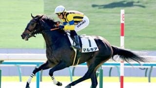 【京都５Ｒ・２歳新馬】現２歳世代初の４００キロ以下のデビューＶ！　マルキアが大外一気の差し切りにＭデムーロ騎手も驚き