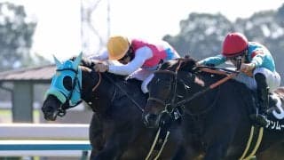 【京都８Ｒ・もみじＳ】鼻、鼻差でタイム差なしの大接戦を制したのはロンドンガーズ　松山弘平騎手「着差以上に強かったと思います」