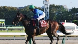 【富士Ｓ】「すべて出し切れたとは言えませんが…」岩田望来騎手のアンパドゥは２着　前走の関屋記念で圧勝も連勝ストップ
