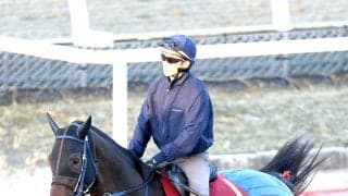 【秋華賞・土曜気配】ローズＳ２着エンネは坂路で力強い脚取り　吉岡調教師「気持ちが乗っているが...」