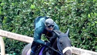 【菊花賞】神戸新聞杯で激走３着のシートゥサミットが実質的な最終追い　吉岡調教師「時計的にはしっかり動けていた」