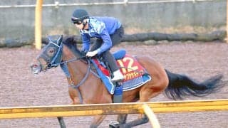 【秋華賞・土曜気配】ハヤブササキチャンはパシファイアー着用を検討　東田調教師「当日のテンションを抑えていければ」