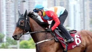 連勝ストップの世界ＮＯ１ホースに「やっぱり馬だった」「競馬に絶対は無い」　カーインライジングが海外Ｇ１で惜敗