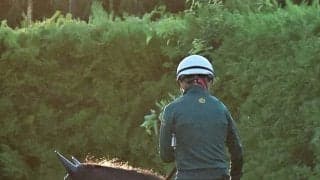 【秋華賞】オッズは１強ムード　断然１番人気のモンローウォークは１・３倍　離れた２番人気がドリームコアで８・９倍