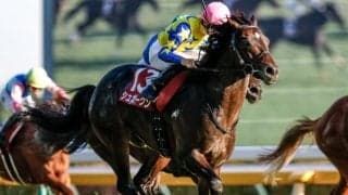 【富士S結果】キタサンブラックの弟シュガークンが復活の重賞2勝目！