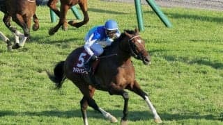 【富士S】武豊アドマイヤズームは伸び切れず6着…シュガークンが大外一気の復活V