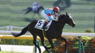 【新馬/東京4R】ルメール騎乗ジルファノーガが鮮やかデビューV！単勝1.8倍の断然人気に応える快勝