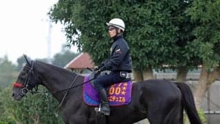 【１８日の注目・東京ハイジャンプ】障害王者エコロデュエルに前年覇者ジューンベロシティ、復帰戦のマイネルグロンなどが集結！