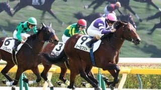 【東京５Ｒ・２歳新馬】ルメールが評価「伸びしろあります」Ｇ１・２着２回ファインルージュの初子ソーロブストＶ