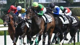 【秋華賞予想】牝馬三冠の最終戦 機動力とスタミナ問われる京都内回り2000m